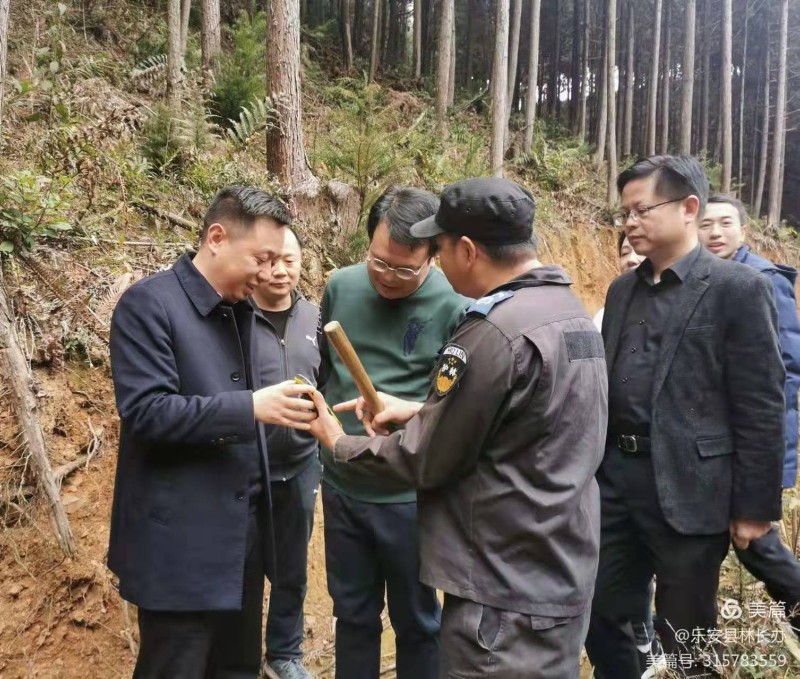 抚州市市级林长市人民检察院检察长温珍奎到乐安县巡山督导