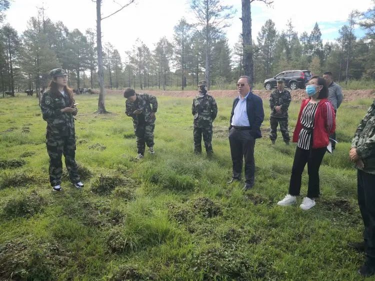 有林場和林木種苗服務站深入加格達奇林業局審定林木良種基地建設工作