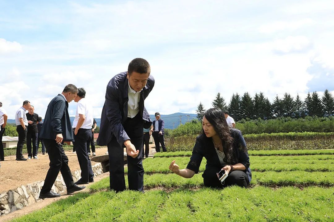 借他山之石琢己身之玉加格达奇林业局考察组赴伊春森工龙江森工考察