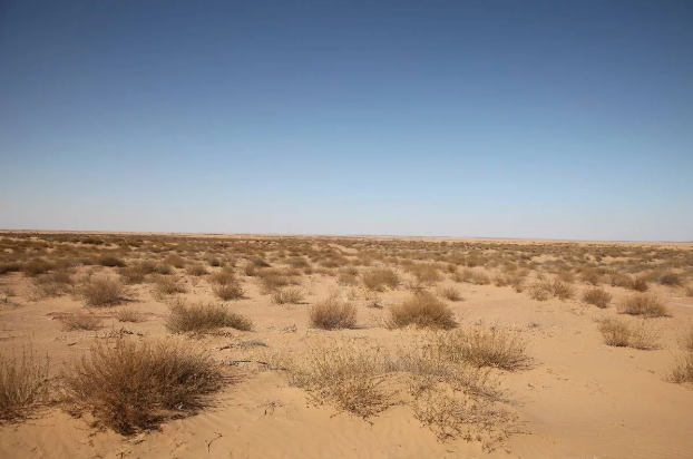 土地沙漠化背景图图片