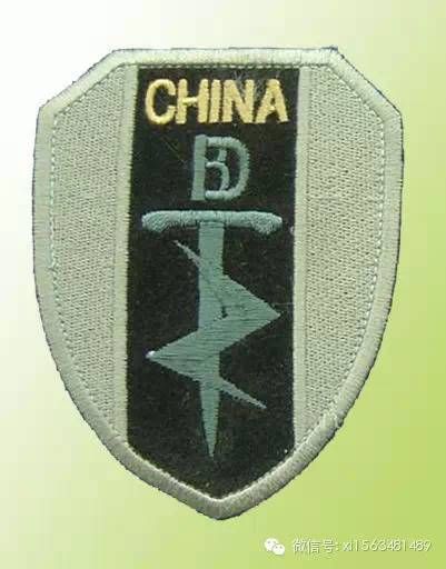 中国特种部队标志臂章图片