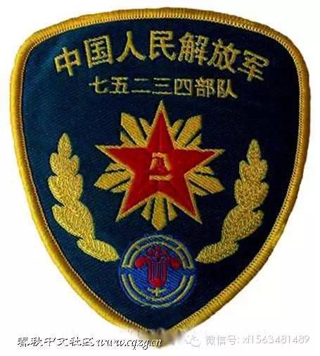 軍銜軍官資歷軍裝常服軍區臂章