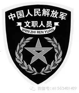 軍銜軍官資歷軍裝常服軍區臂章