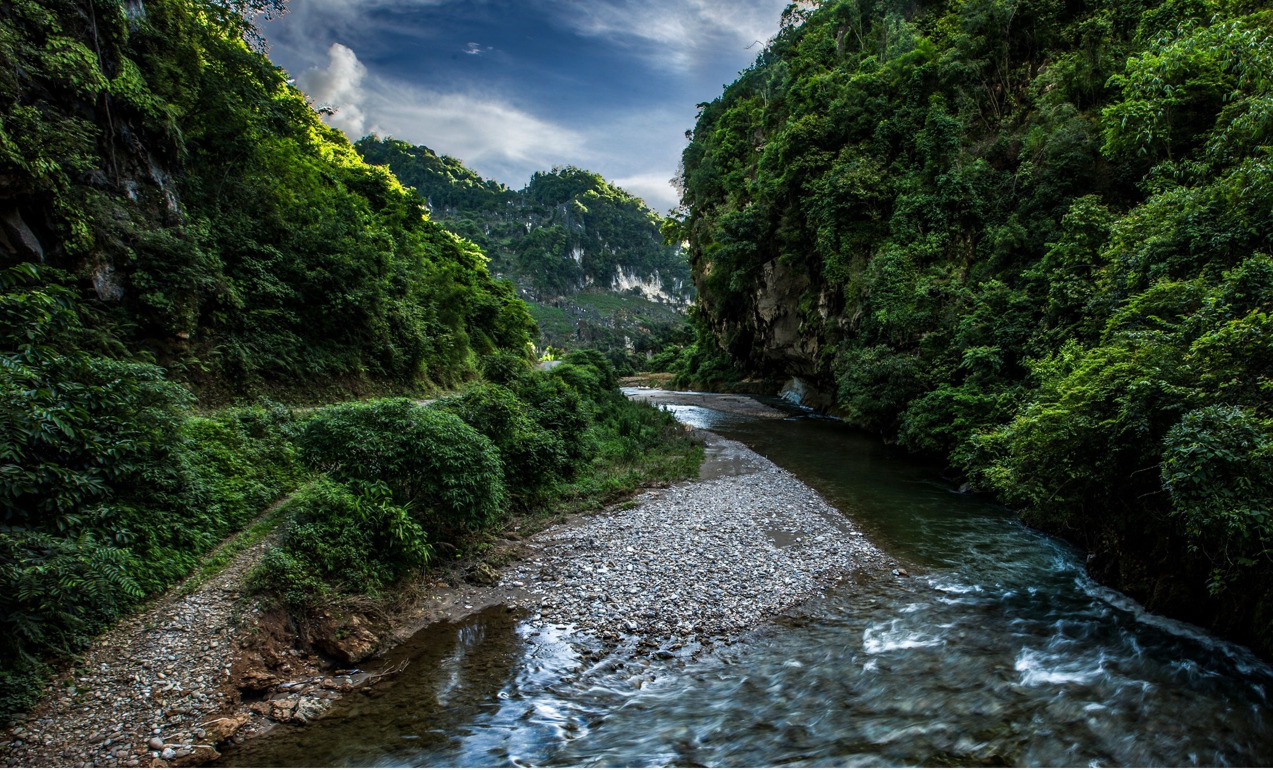 生态云南普洱景谷放生一只不缩头的乌龟