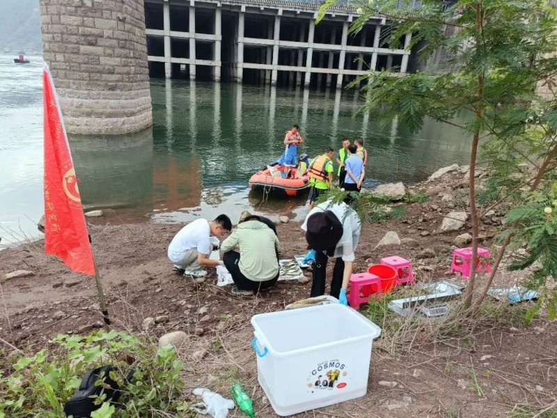 短身金沙鳅首现长江上游珍稀特有鱼类国家级自然保护区金沙江水富段