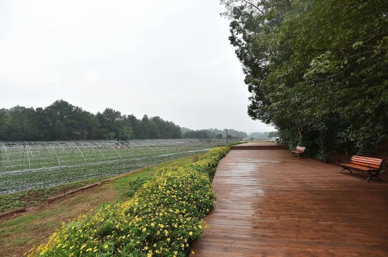 周先毅带队调研推进天府新区宜居宜业和美乡村建设