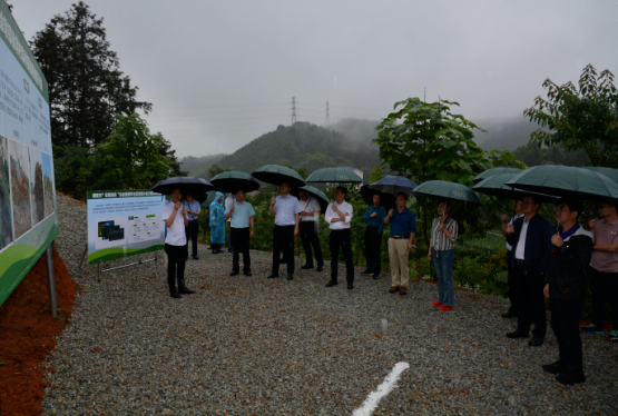 福建省松材线虫病疫情防控工作现场会在建瓯市召开