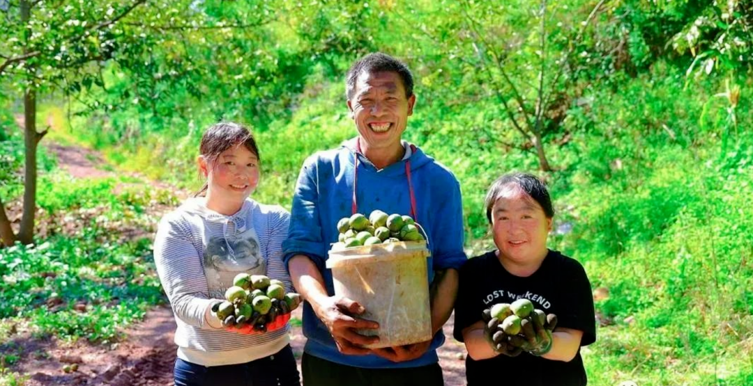 云南大理永平杜文彪图片