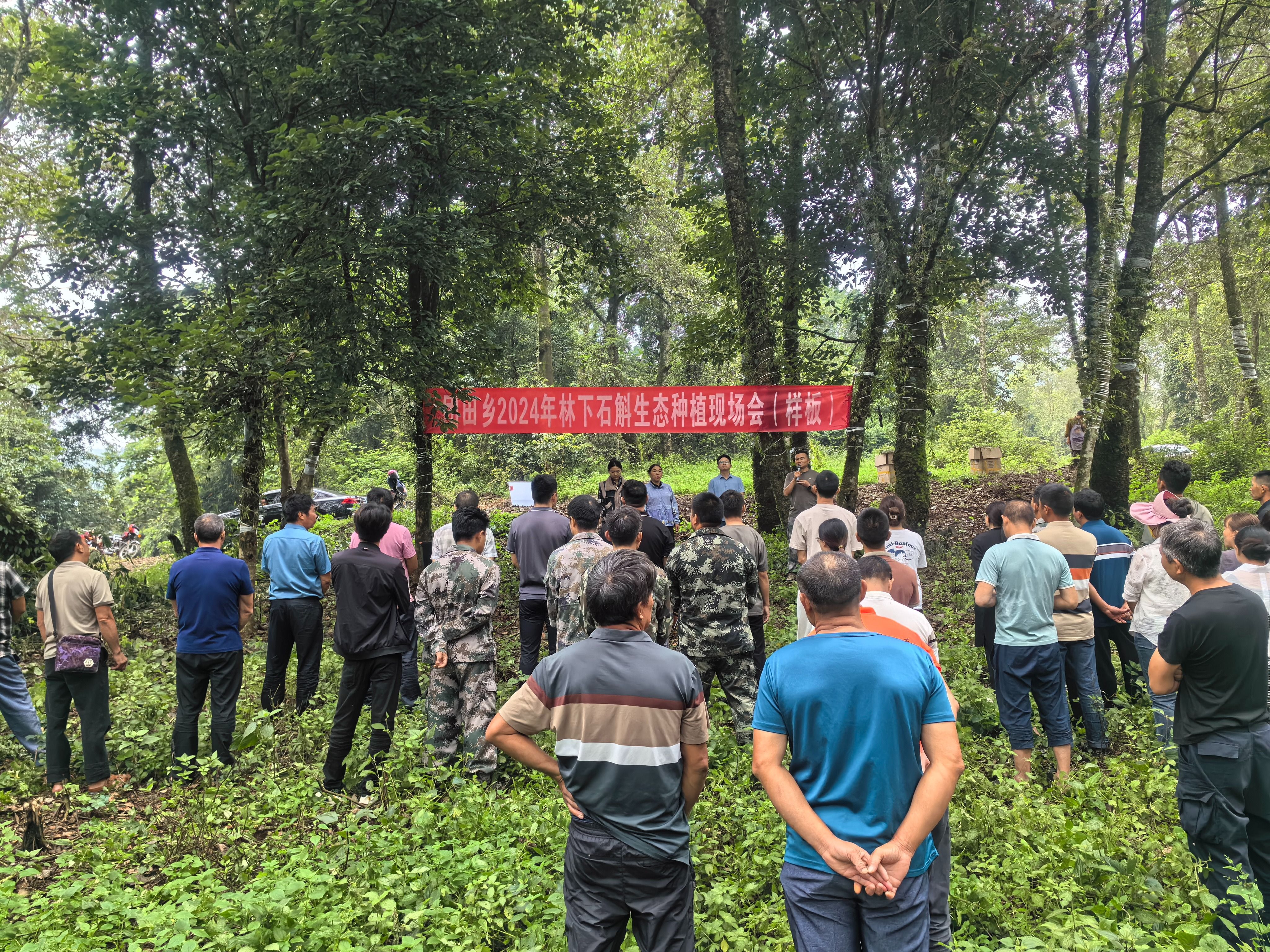 雷公藤种植基地图片