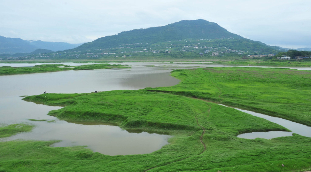 重慶漢豐湖國家溼地公園- 溼地保護