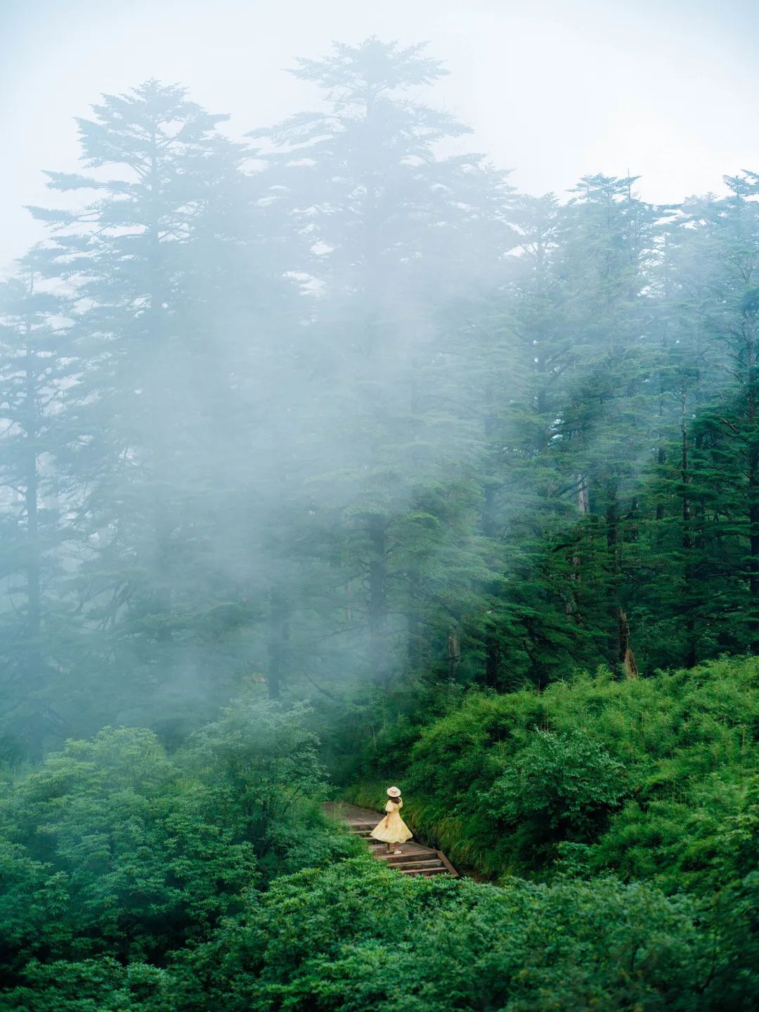炎炎夏日瓦屋山景区喊你来避暑纳凉