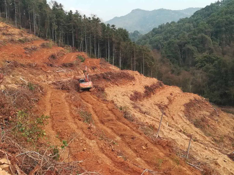 安福县坳上林场采用机械实施条带整地