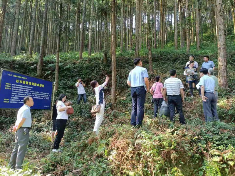谋转型促发展 奋力谱写国有林场改革突破新篇章 - 关注森林