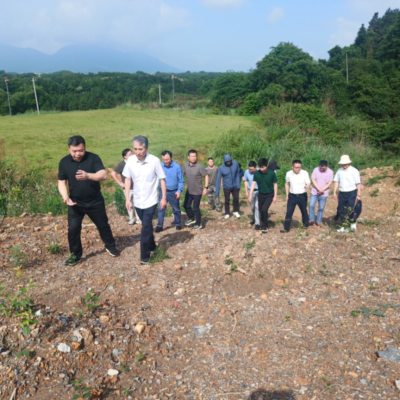 (安福县林业局 刘伟芳,明月山林场 郑雪梅,谷源山林场 缪毅智)