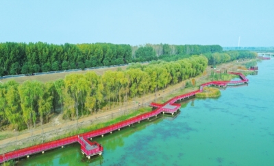 今年新建的长垣九龙湿地公园
