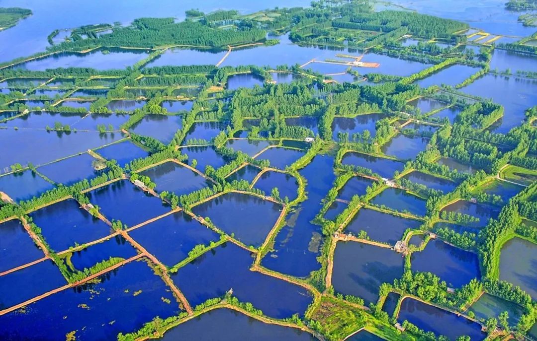 平顶山白龟湖面积多大图片