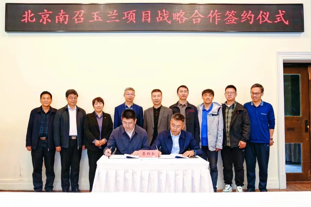 大河网:南召县玉兰"新贵"将大规模落户北京