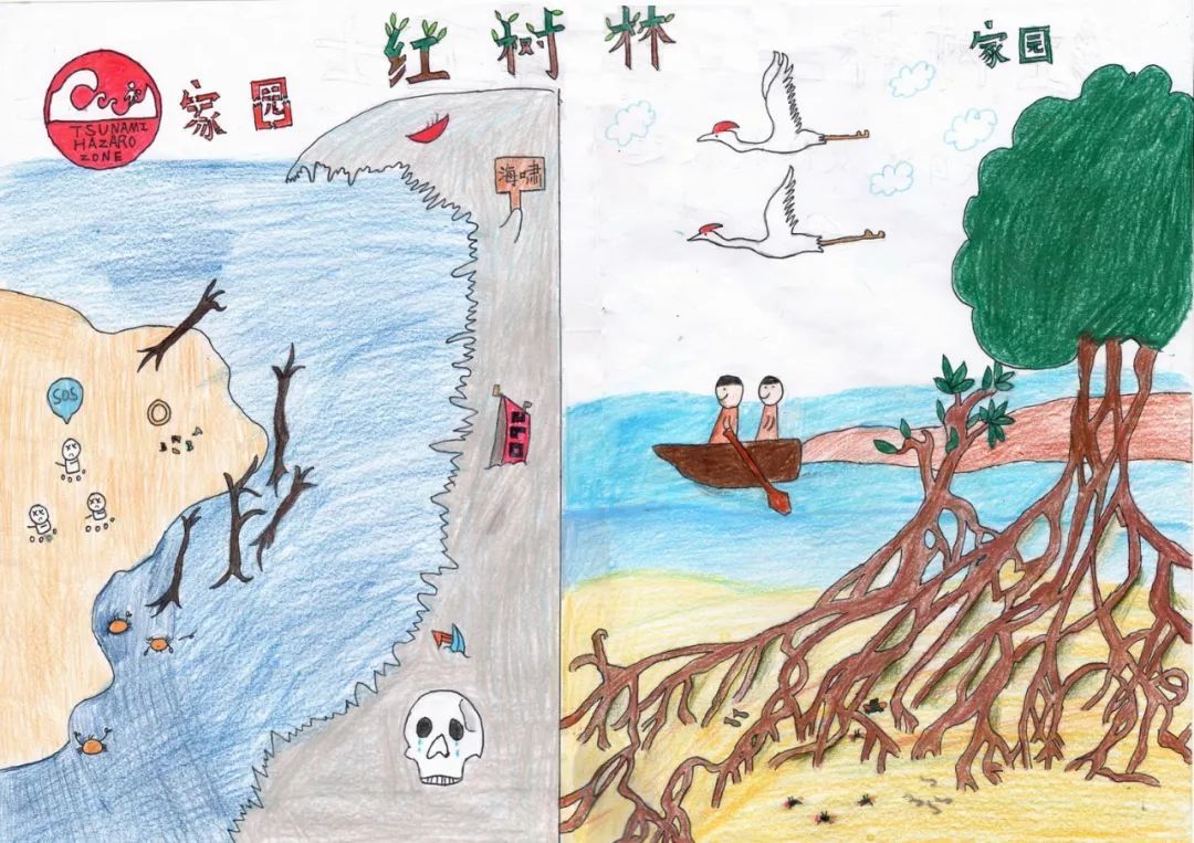 红树林简笔画儿童图片