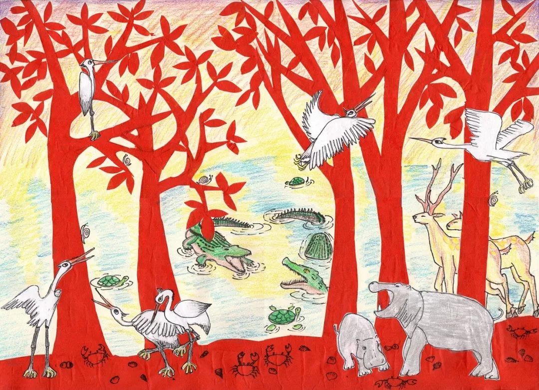 红树林简笔画儿童图片