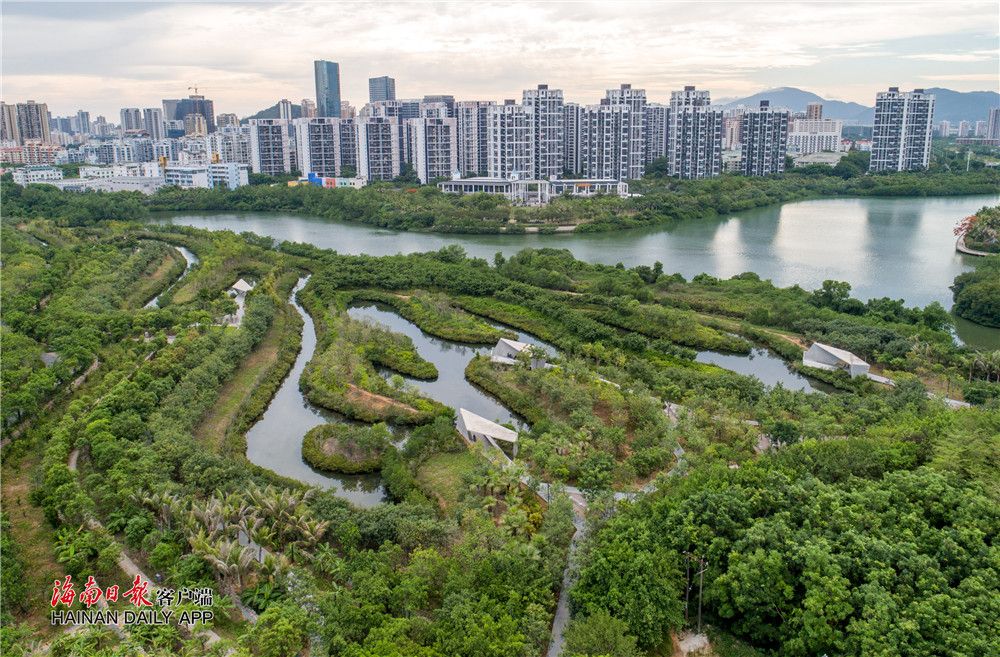 三亚红树林生态修复工程荣膺国际奖项被评为2019az最佳景观奖