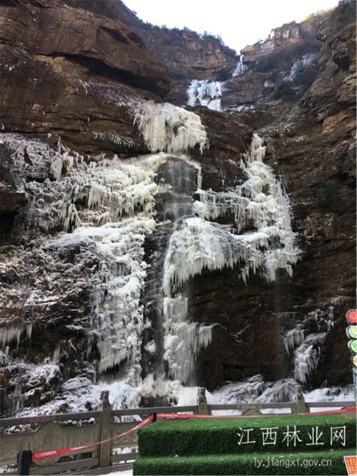 江西林業網廬山三疊泉現百米冰瀑景觀