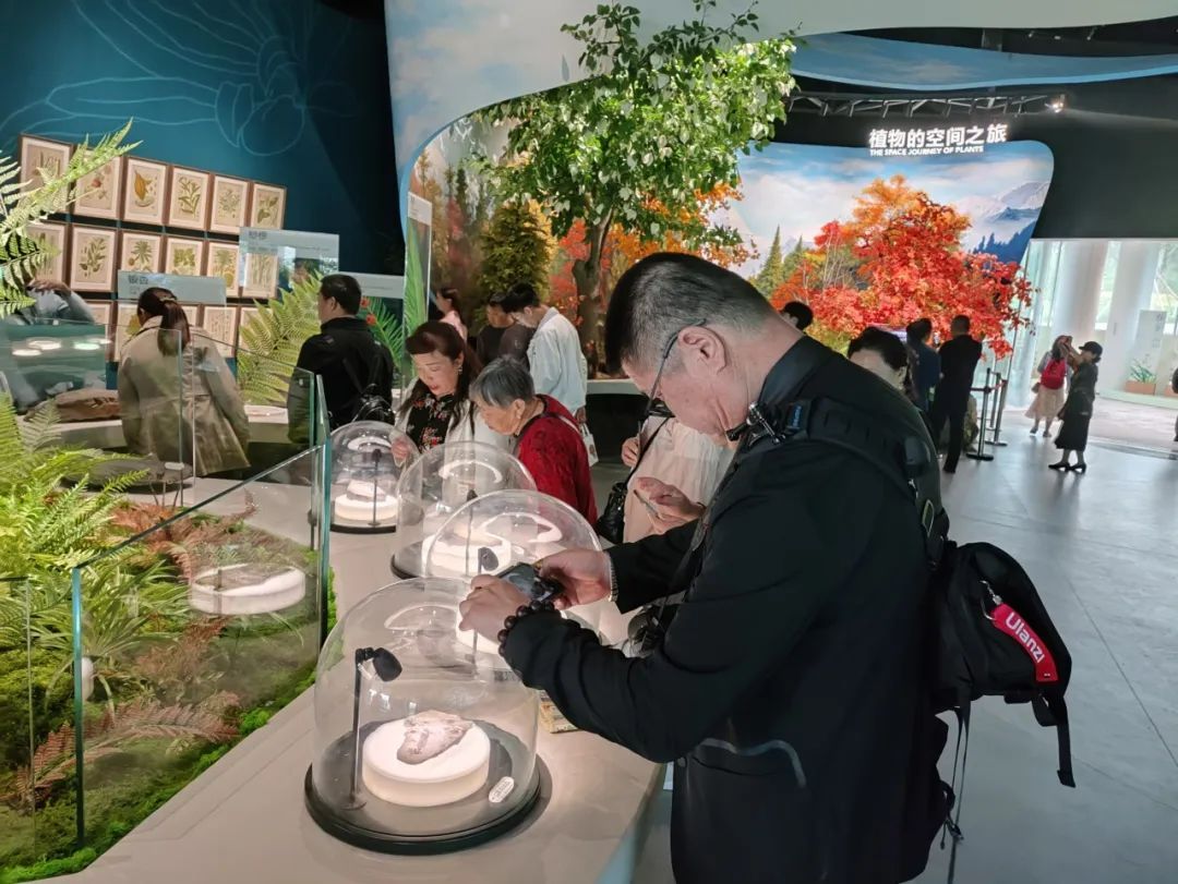 游客不仅可以看到太古代,元古代的蓝细菌玻璃器皿,真核细胞3d模型