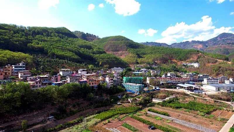 雅邑镇万亩胶林吐新绿捧起胶农新希望