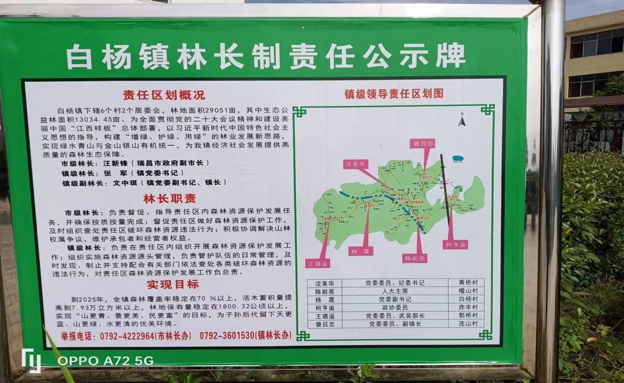 白杨镇三到位确保林长制工作落地见效