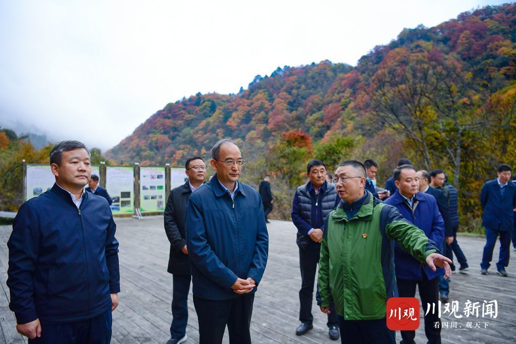 黃強省長在大熊貓國家公園唐家河片區調研川觀新聞20211031