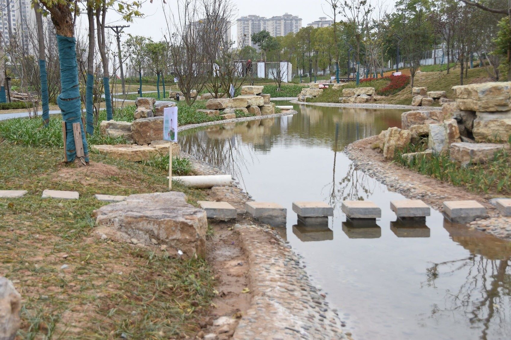 荣县黄桷堰湿地公园图片