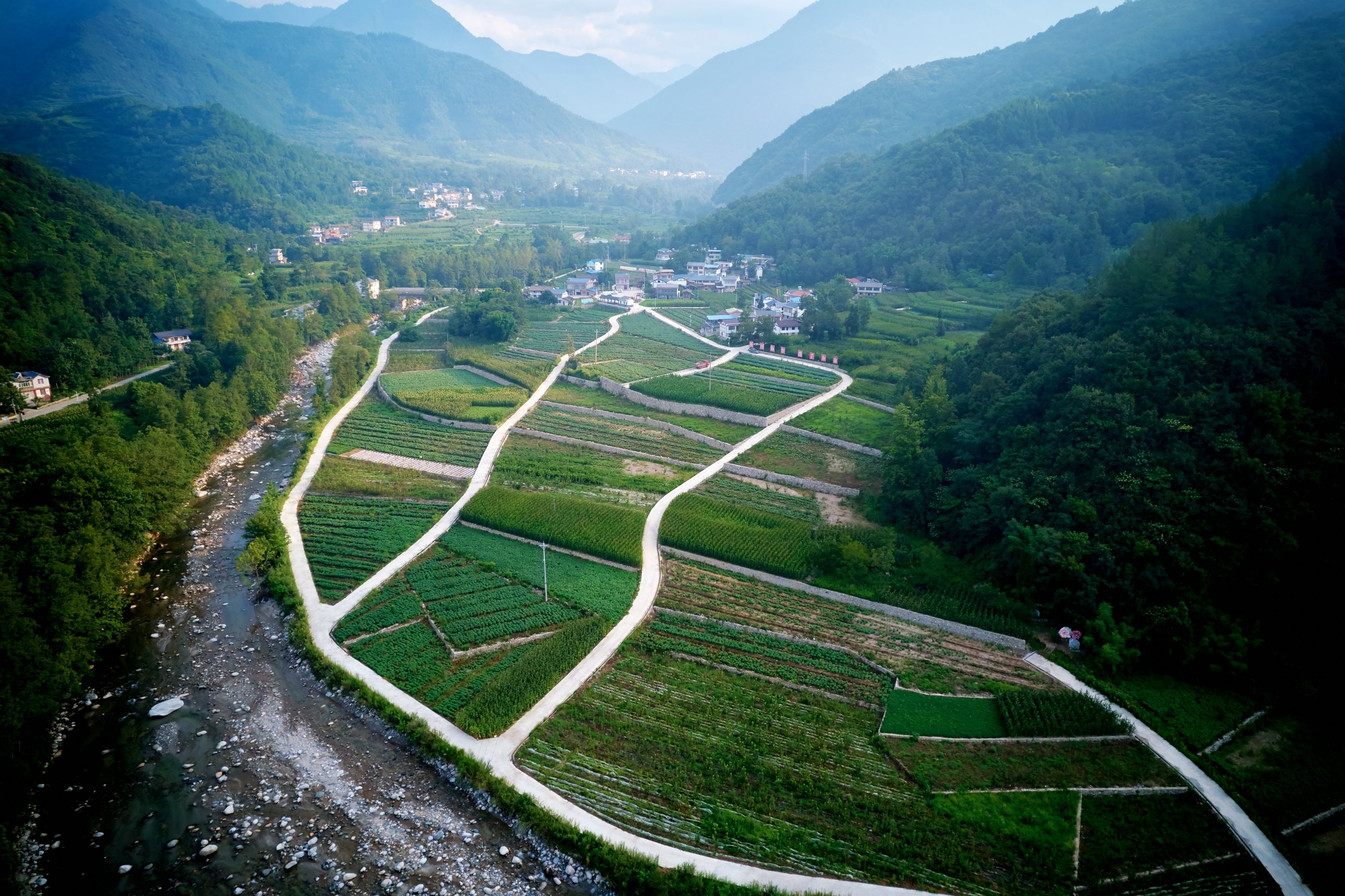 熊猫走天下74生态进万家丨坚持绿色生态打底擦亮平武特色农产品品牌