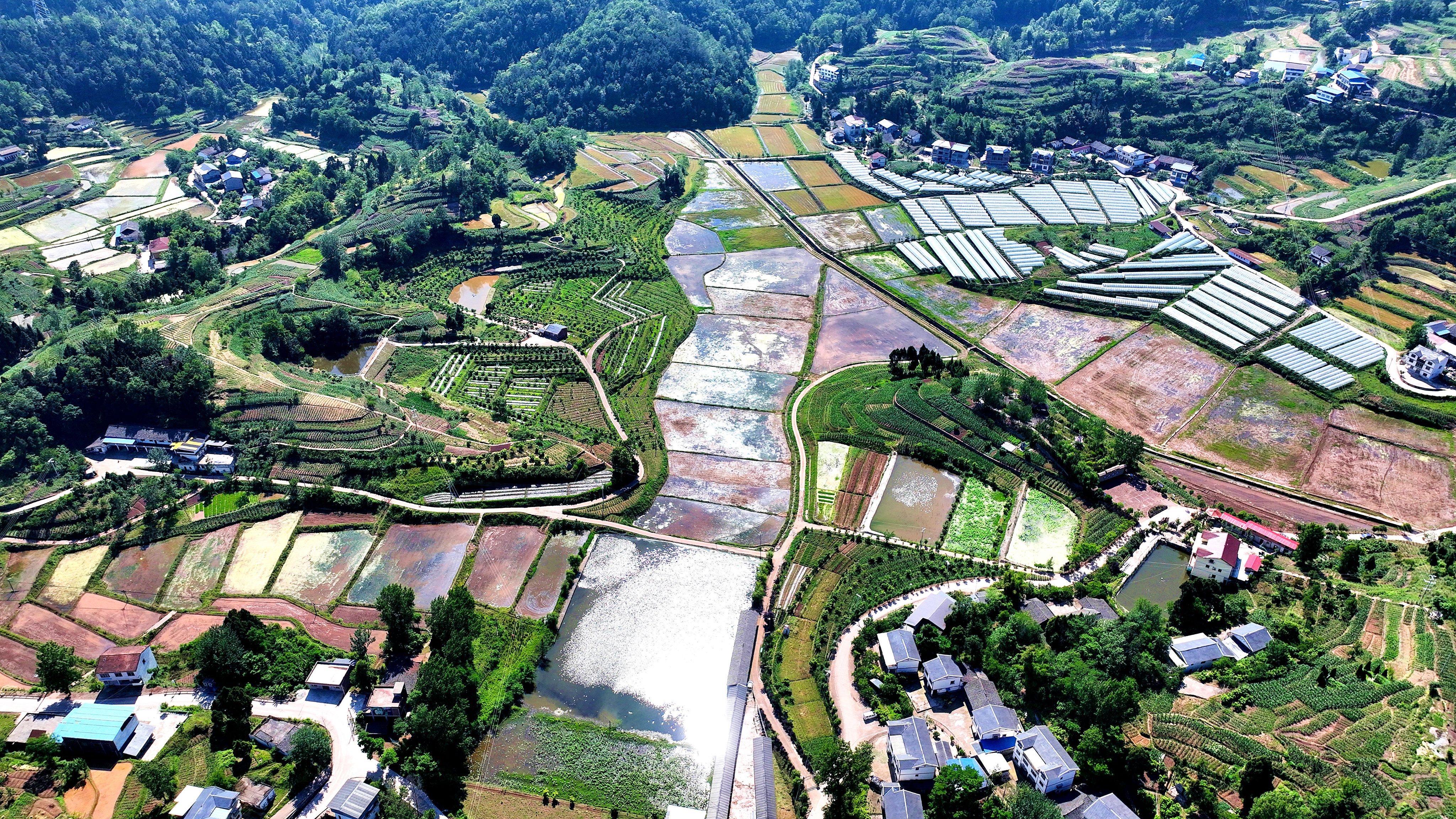 田园新景巴山粮仓达州宣汉县积极创建国家农业现代化示范区