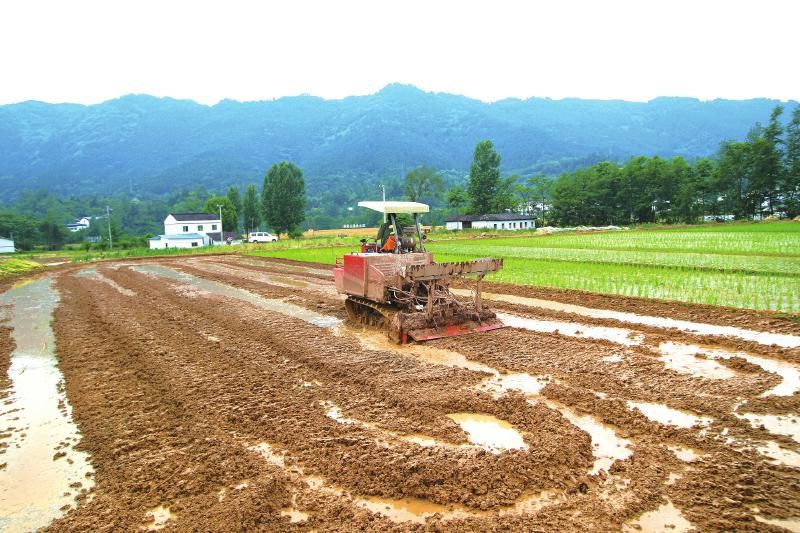 壯大農村集體經濟建設宜居宜業和美鄉村爭創國家農業現代化示範區