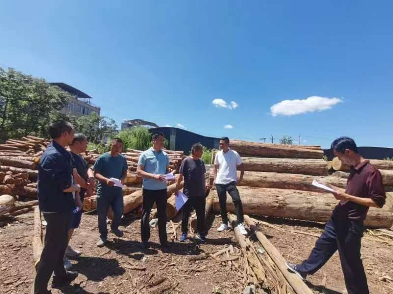 会理市持续开展林业植物调运检疫工作 - 关注森林