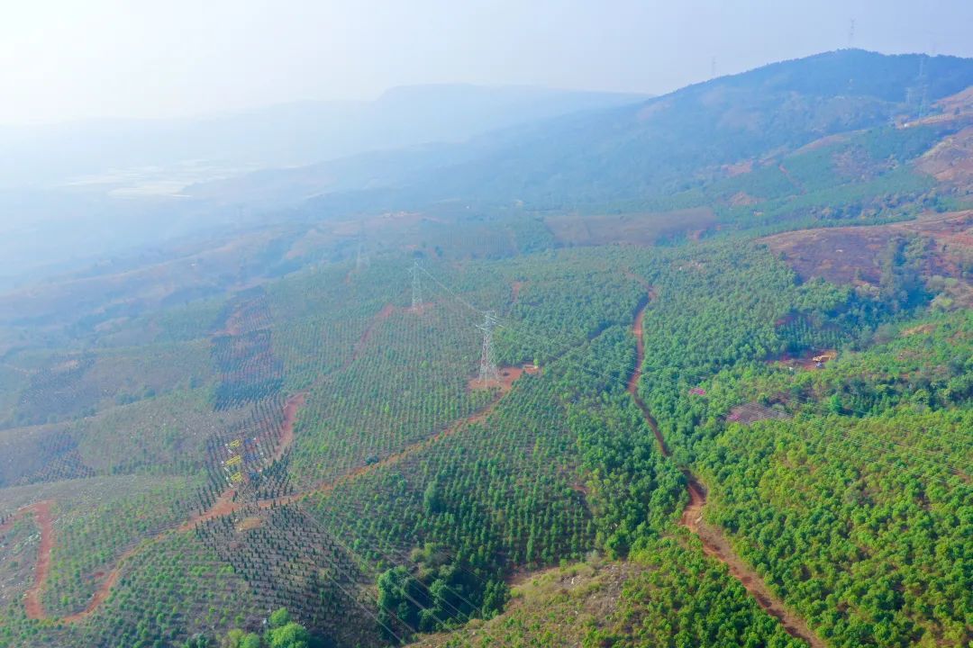 国有林场 | 开远市白土墙国有林场 - 关注森林
