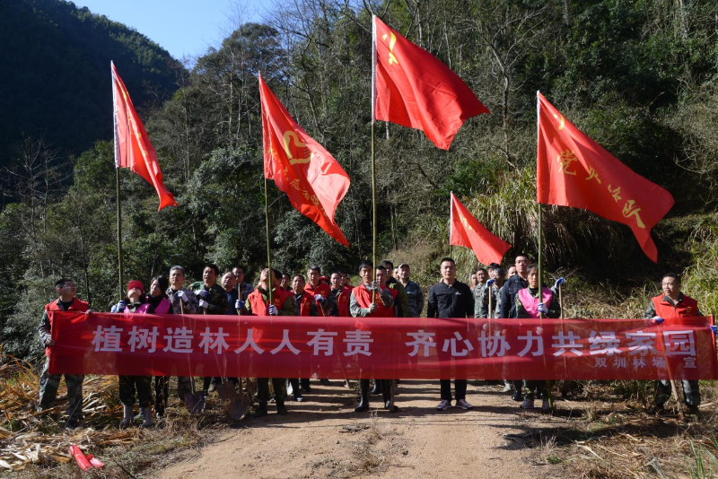 双圳林场开展植树造林活动