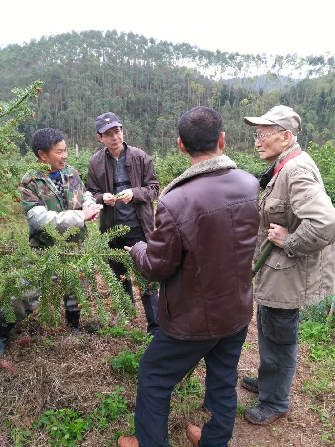 林业先进人物典范巡山护林防山火陈良柏43年的林海情缘