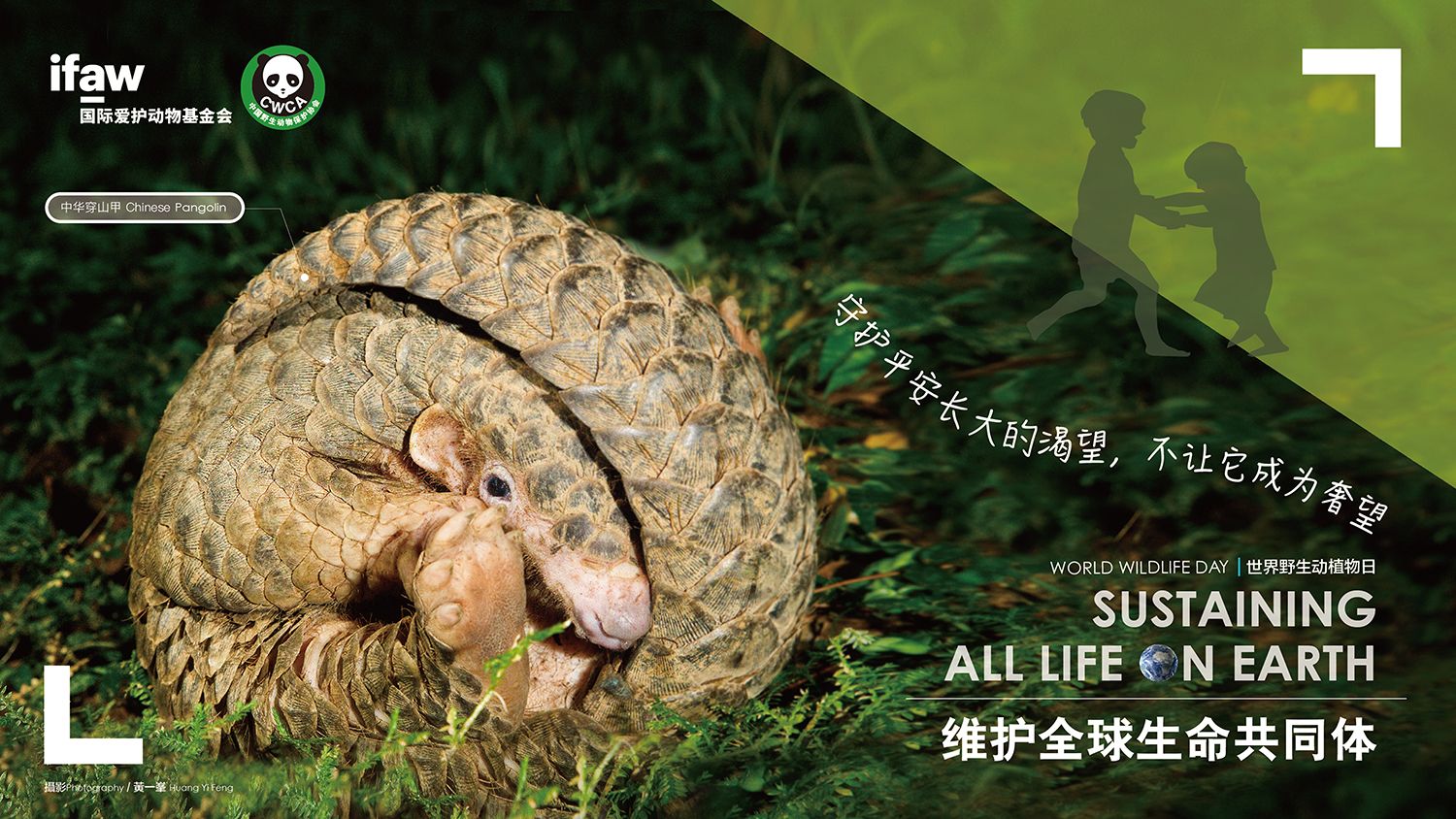 中国野生动物保护协会组织开展2020年世界野生动植物日主题宣传活动