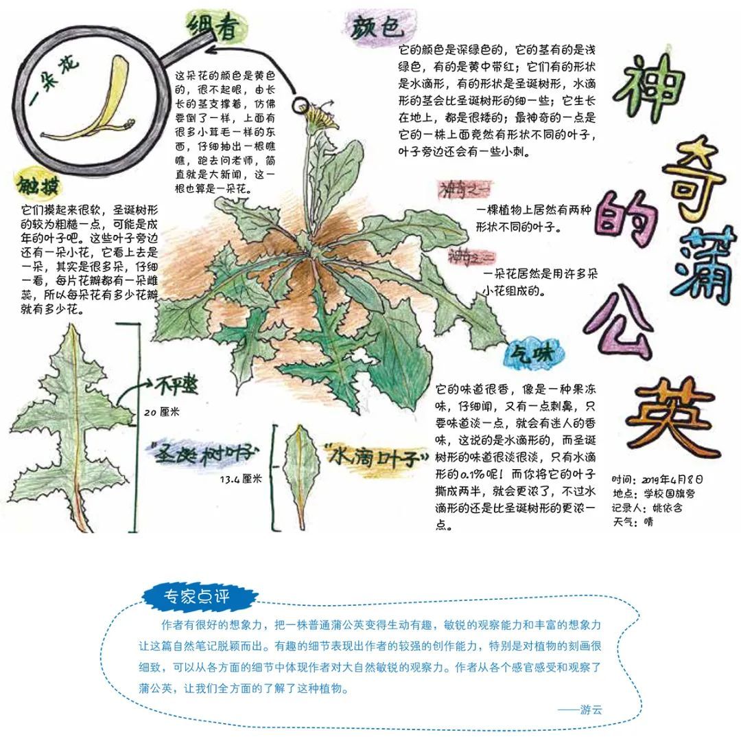 繪眼看自然長隆杯第二屆自然筆記大賽獲獎作品展示2