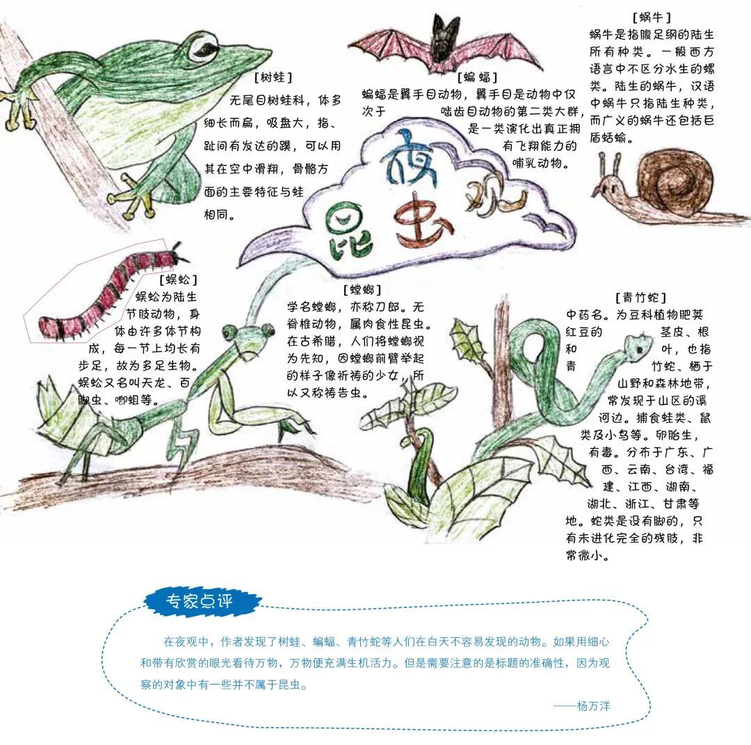 重庆2021自然笔记大赛图片