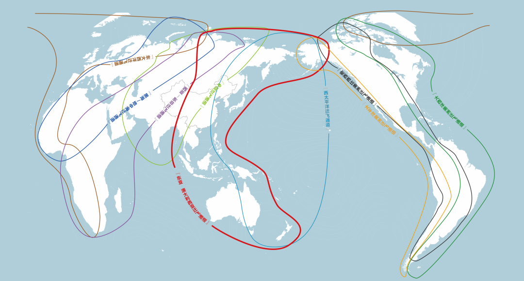 世界候鸟迁徙路线图图片