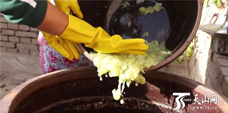 吐尔洪家正在发酵的葡萄果醋.