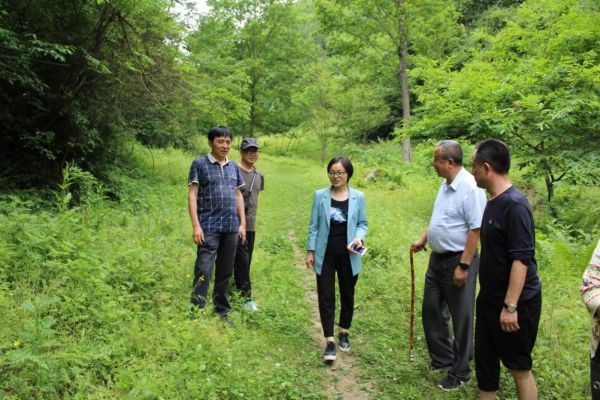 随后,检查组来到县毛坝食品医药工业园市级林业龙头企业汉中永杨医药