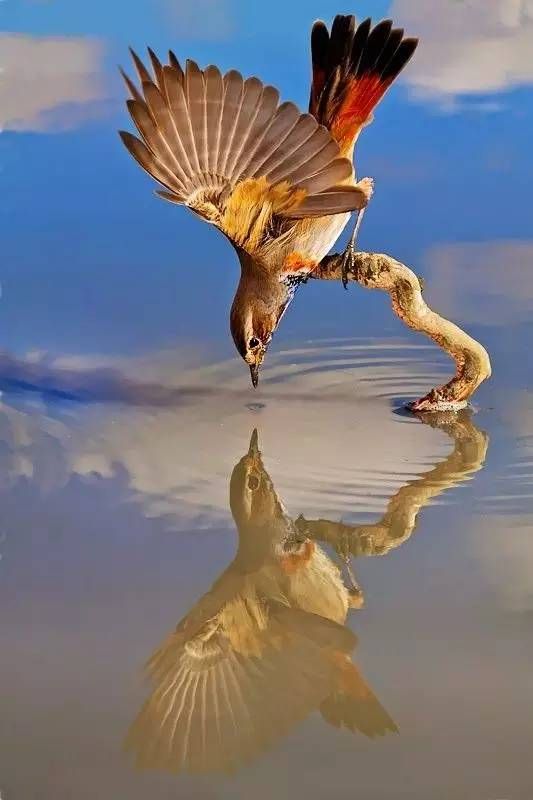 动人心魄的摄影大片