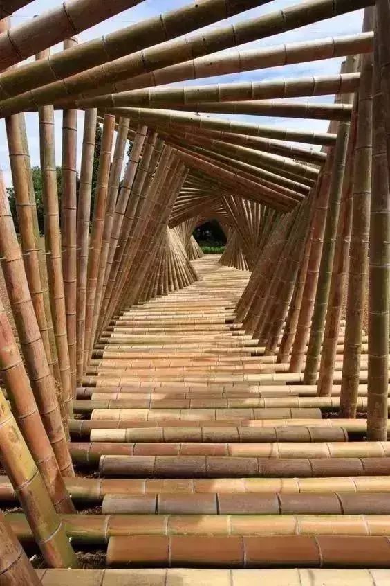 别致的竹文化