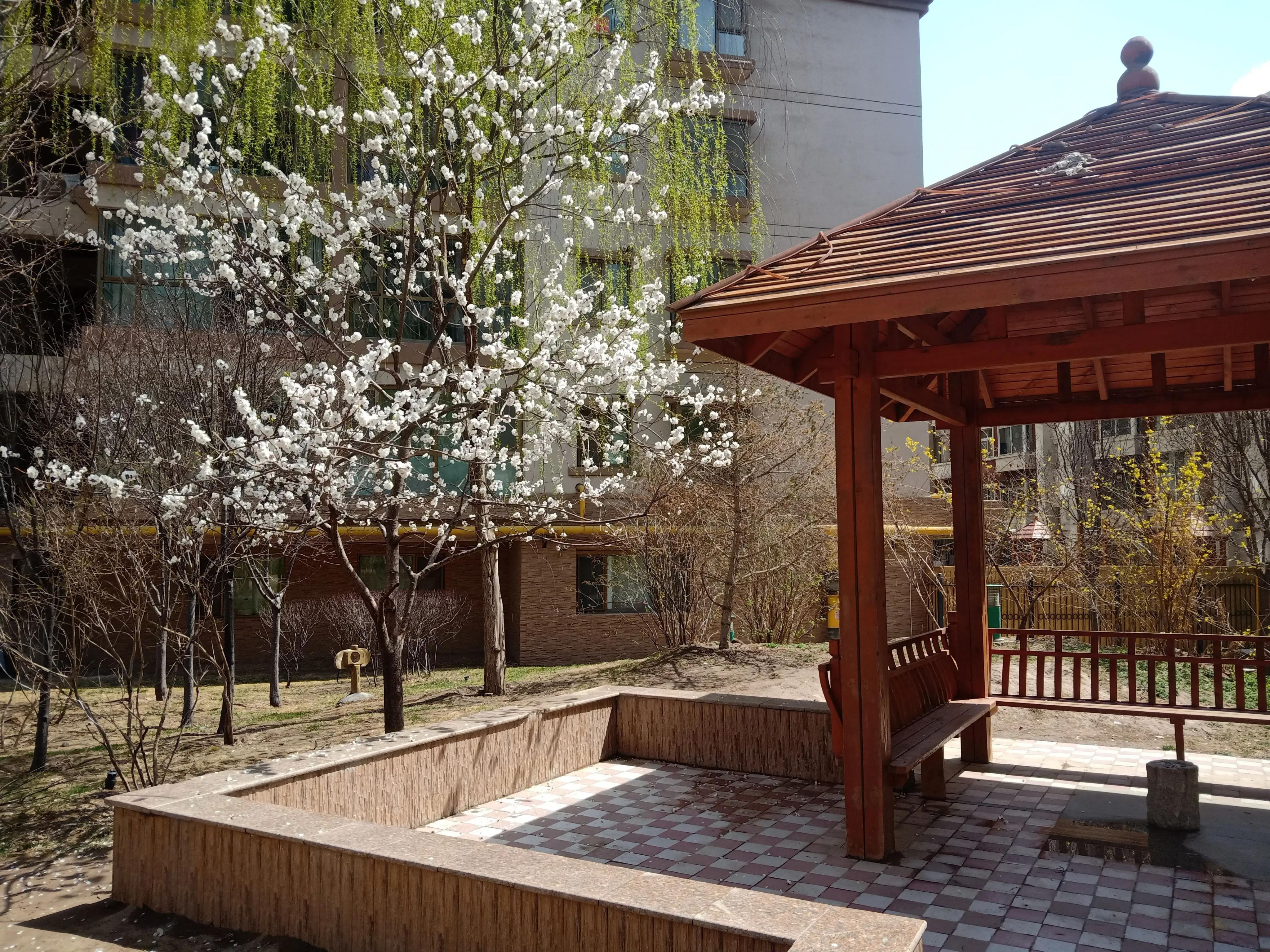 兰州市春景如画的徐家山森林公园