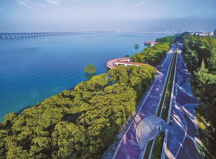在西湾红树林湿地公园,跳跳鱼在树影婆娑中追逐轻舞;宝安公园,平峦山