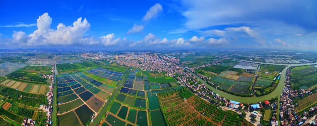 完成新建提升溼地公園,城市公園,街頭公園等15個,建設濱水