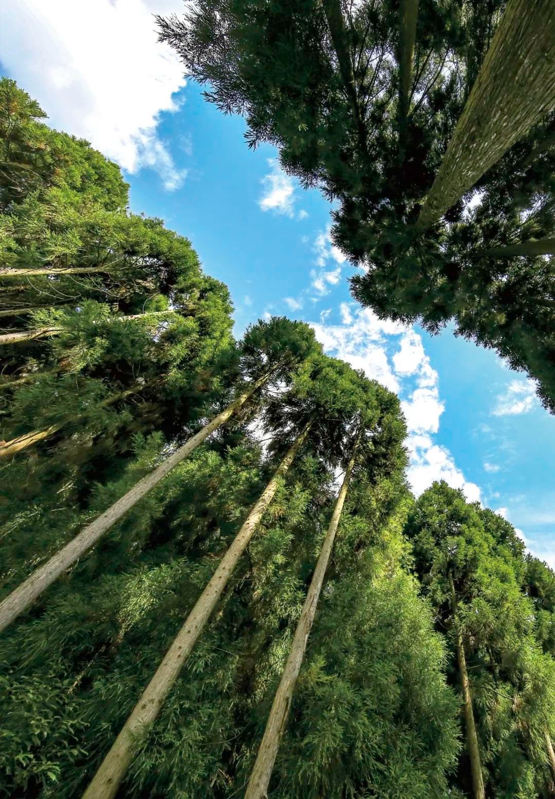 多彩宣汉来宣汉月亮坪凉快一夏