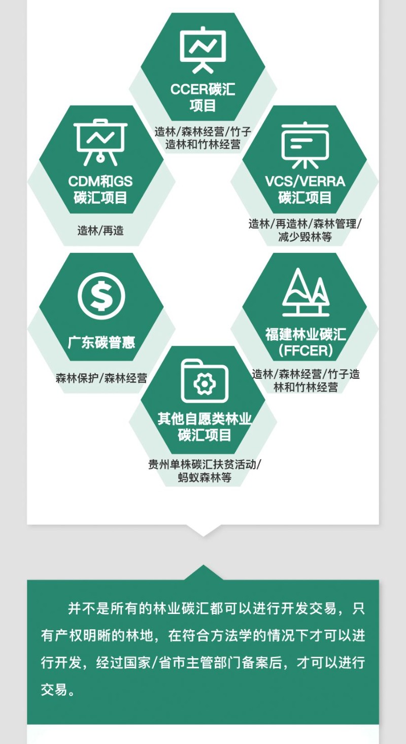 碳汇是什么?一图读懂 - 关注森林